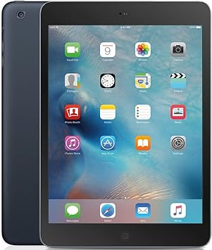 Apple iPad Display