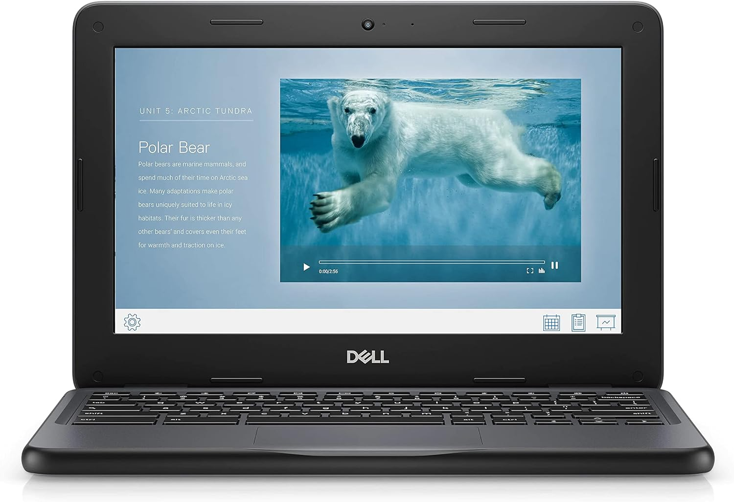 Dell Chromebook 11 3100 – 11.6" Touchscreen 2-in-1, HD Intel Celeron N4020 Dual-Core, 4GB RAM, 16GB Storage