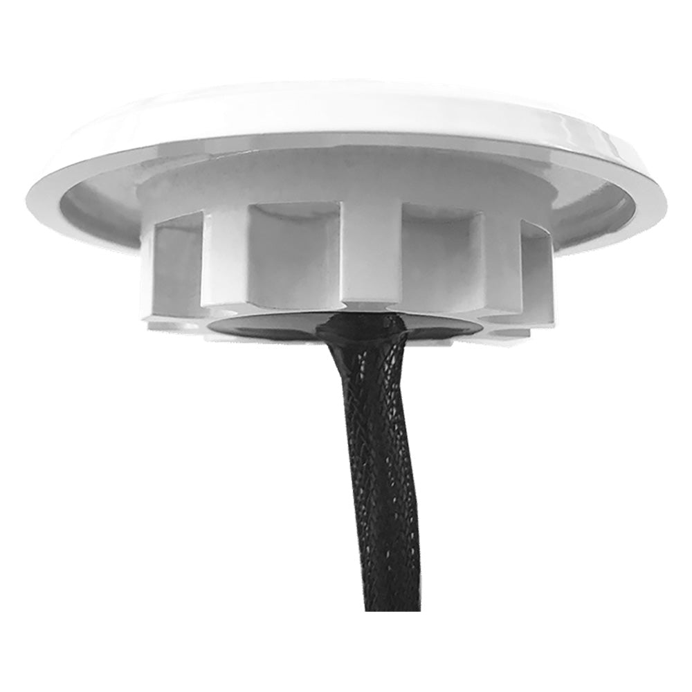 Shadow-Caster Downlight - Boîtier blanc - Bleu Bimini [SCM-DLXS-BB-WH]