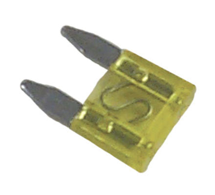 SIERRAMARINE FUSE [FS80070]