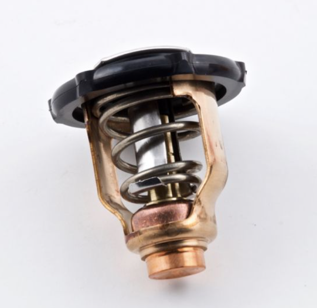 EMP THERMOSTAT [75-75516]