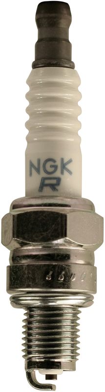 NGK LR8B PLUG EACH ORDER 10 [6208]