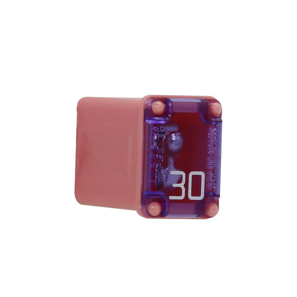 BUSSMANN MICRO FEMALE TIME DELAY F [FMM-30]