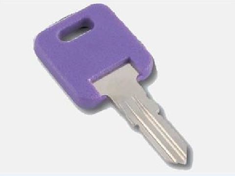 AP PRODUCTS GLOBAL REPL KEY [013-690337]