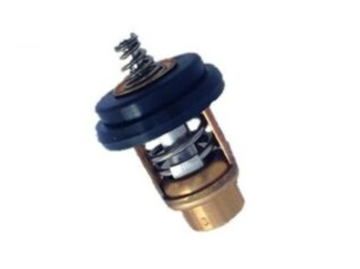 EMP THERMOSTAT [75-75521]