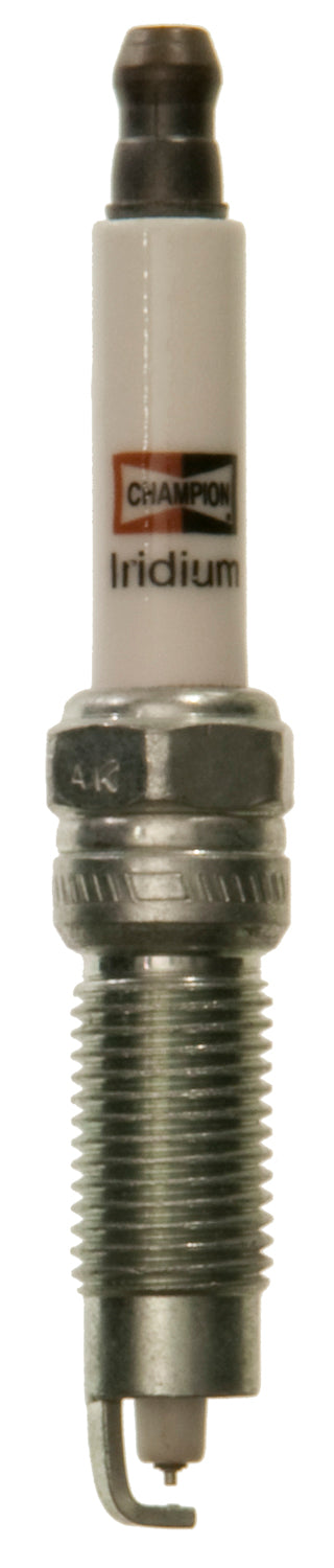 CHAMPION CHAMPIONIRIDIUM [9406]