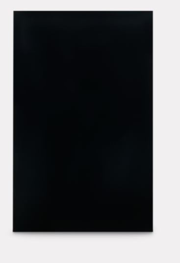 DOMETIC A DOOR PNL BLK-DM2672/2682 [3106863.305C]