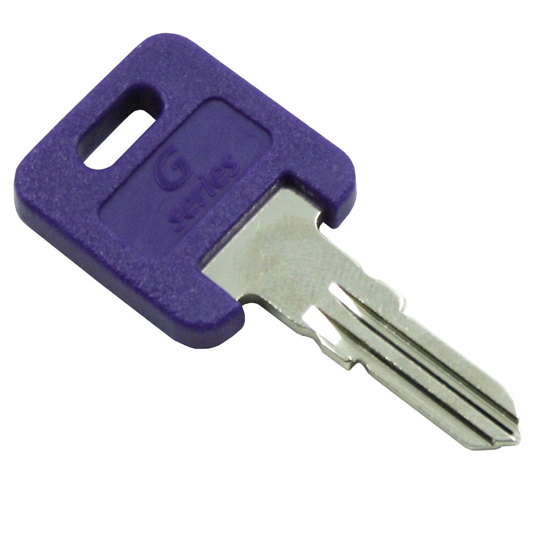 AP PRODUCTS GLOBLE RPL KEY CODE #391 [013-690391]