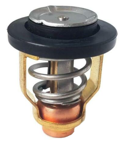 EMP THERMOSTAT 60? [75-75523]