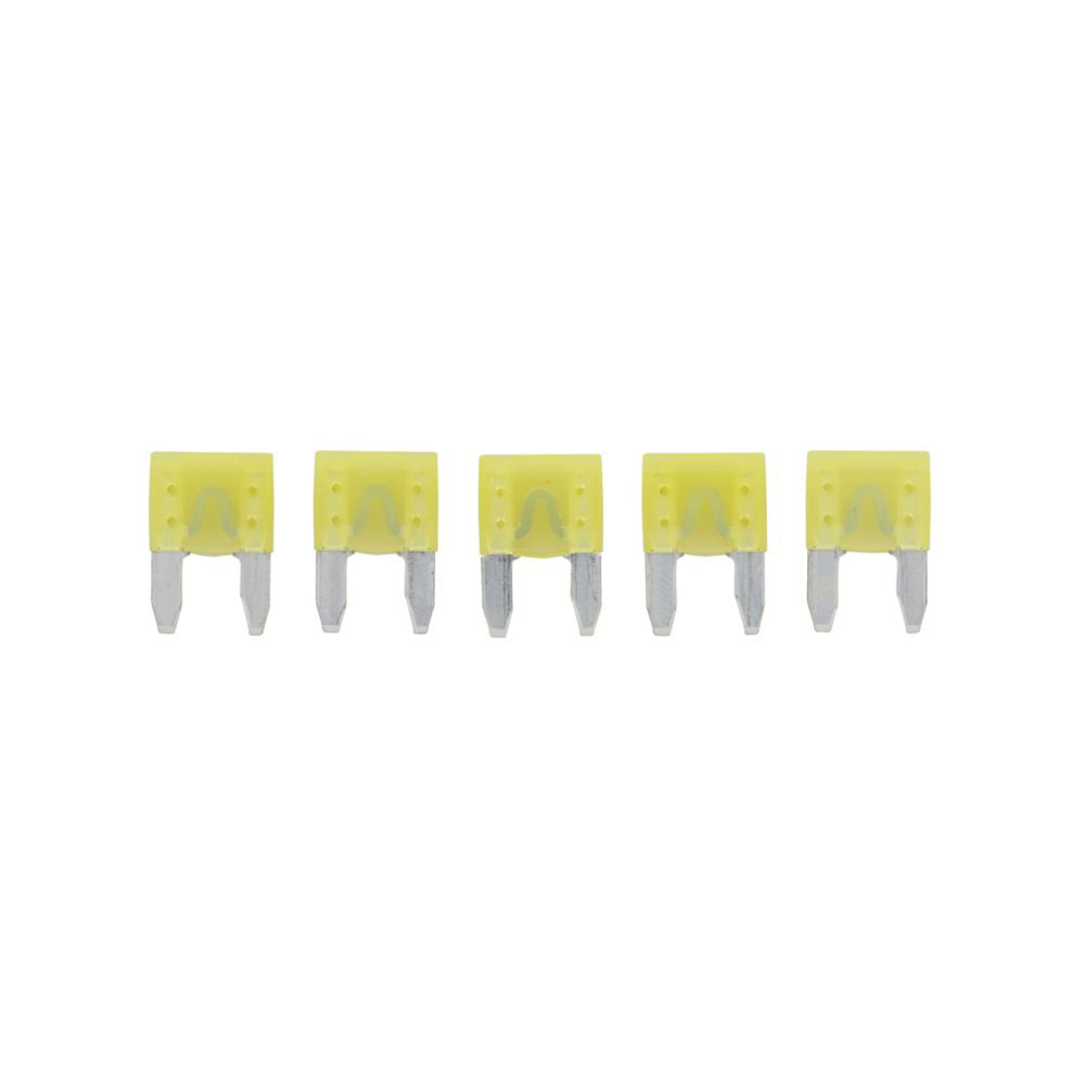 BUSSMANN 5PK BP/ATM-20 FUSES [BP/ATM-20-RP]