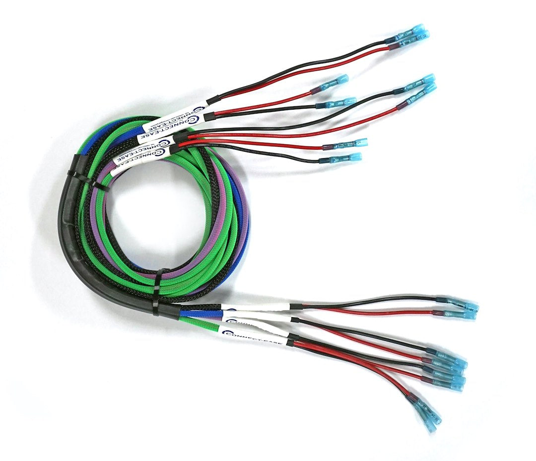 CONNECT EASE YAK-EASE POWER PACK PRO [RCE12VLTN]
