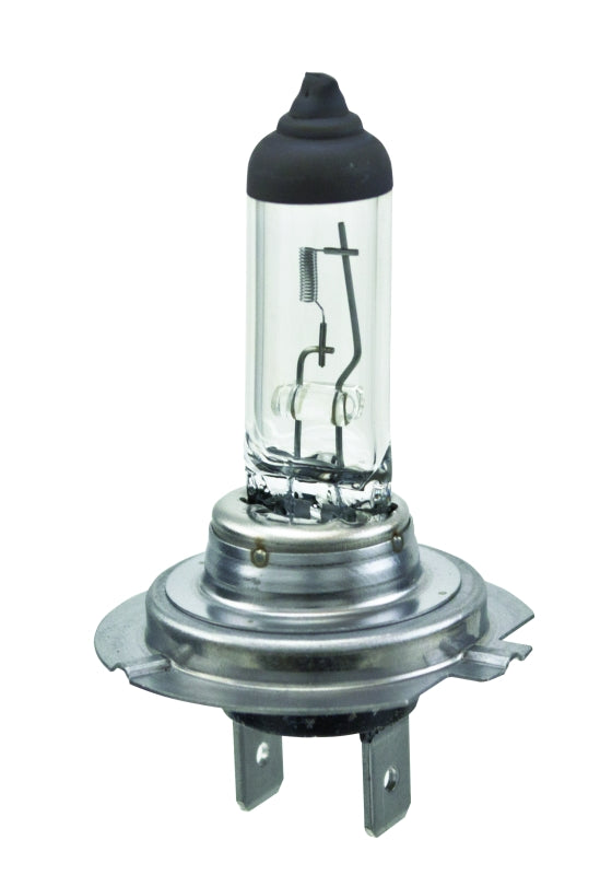 HELLA BULB 12V 55W PX26D T4.625 [H7]
