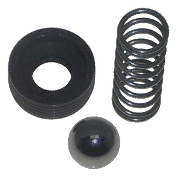 EMP CHECK VALVE KIT [21-02382]