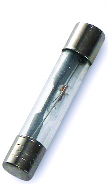 WIRTHCO AGC GLASS FUSE-10 AMP [24610-50]
