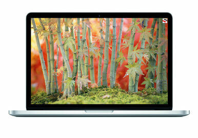 Apple MacBook Pro Retina i7 2.7GHz 8GB 128GB SSD 15.4" MD831LLA - Build Your SSD/RAM!
