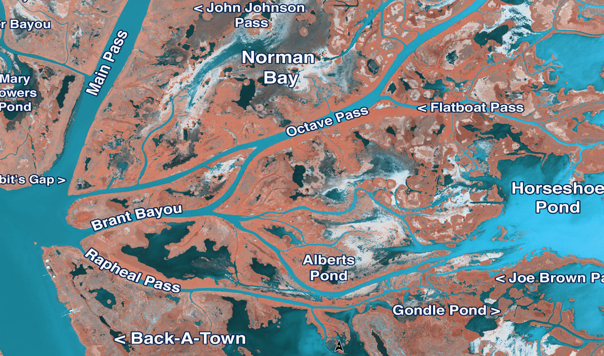 Garmin Texas East Standard Mapping Classic
